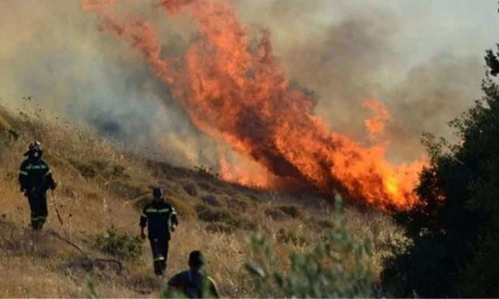 Κιλκίς: Υπό μερικό έλεγχο η πυρκαγιά στο δάσος του Σκρα